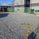 하남농협주유소 이미지