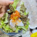 달빛 오징어 광어 화곡점 이미지