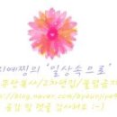 케이크(keik)