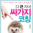 싸가지엔 이미지