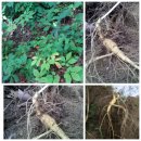 개척농장 이미지