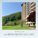 홍천 비발디파크 소노펠리체 골드스위트 파크뷰 숙박 후기_강원도 대가족숙소 추천