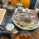 파주 애견 동물 강아지 동반 식당 음식점 추천 &#34;THE 담다&#34; 후기