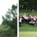 건.갤러리 이미지