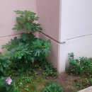 참기름집 이미지