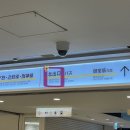 오사카 난바 신상호텔 &amp;Here OSAKA NAMBA 4인호텔 추천 내돈내산 후기