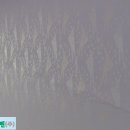 서울삼성초등학교 이미지