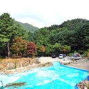 산야초 자연 캠핑장 이미지