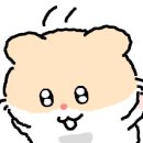 빽다방대전송