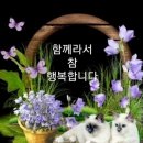 남편의 아내 생일 메시지 이미지