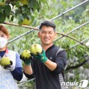 슈퍼브릭스 이미지