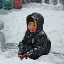 언덕위에 집 이미지