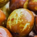 유한농장 이미지