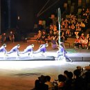 제주아트 서커스 이미지