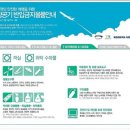 샛도리물 이미지