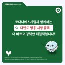 다나에스 이미지