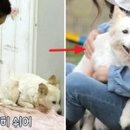 보인농장 이미지