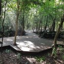 서귀포자연휴양림 이미지