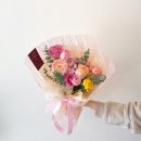 에일린플레르 이미지