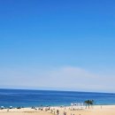 고성수산횟집 - 사하구 낙동대로519번길 19 | 고성수산횟집