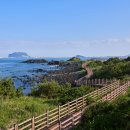 제주도 3박4일 여행코스, 제주다운 감성여행지와 함께 - 제주도 3박 4일 자유여행, 제주도 여행 일정...
