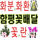 모시골영농조합법인 네이버블로그
