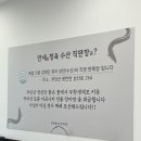 백세정과 | 안성장어맛집 백세정 금이쭈꾸미