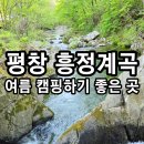 홍천동산펜션오토캠핑장 | 평창 캠핑장 추천 봉평면 흥정계곡 개별 샤워실 벨뷰캠핑장 및 근처 놀거리