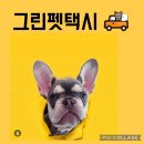 부산펫택시그린 이미지