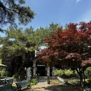 (주)두번째 | 오창 중앙탑막국수: 벌써 이번주만 두번째 방문후기