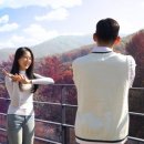 눈큰나라 이미지