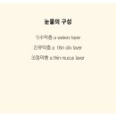 참빛학원