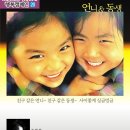 언니