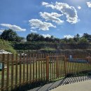 도그펠리스 이미지