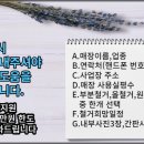 꼬꼬방집으로삼겹용인 이미지
