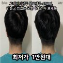 그래비티샴푸 카이스트탈모샴푸 엑스트라 스트롱 475ml, 리뷰 7만 건이 넘는 이유 있었네요