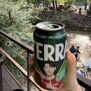 하늘에너지1호 | 월악산 닷돈재 특화야영장 8호 후기｜계곡 바로 앞 명당 솔막, 추첨 당첨 후기