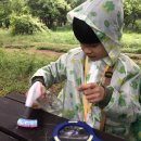 호수공원9 나들숲 | 깨비의숲마을 일산호수공원 숲체험 7세 9세 후기