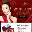 금단비가 bnt뉴스