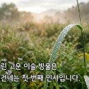 백로(白露. 2026년 9월 7일) 이미지
