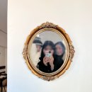 디삐에 | 따뜻한 분위기 프랑스 가정식 "디삐에" 솔직 후기! 기념일 소개팅 장소 추천해요!