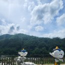 화암파크 | 강원도 정선 화암동굴 입장료 할인팁