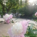 길상사입구 | (5/27) 바람이 향기로운 5월의 길상사 방문후기