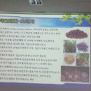 유인숙농장 이미지