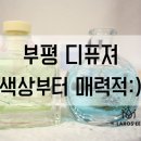 라로제 이미지