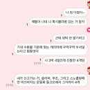 아이러브도그 | 나는 왜 혼자를 두려워 했을까? 혼자여서 행복했던 3박 4일 제주 여행✈️
