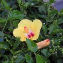 건원농장 이미지