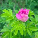 담을행정사사무소 이미지