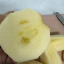 개깎는중 | 문경사과 선물세트 후기｜명품농원 문경사과 2kg, 꿀처럼 달고 아삭한 사과