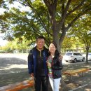 지사초등학교 이미지